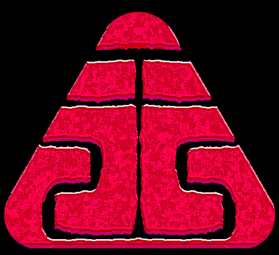 王沂东