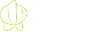 烟台