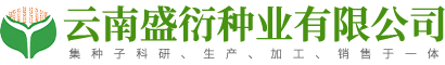 云南种子批发