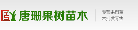 湛江果树苗多个品种